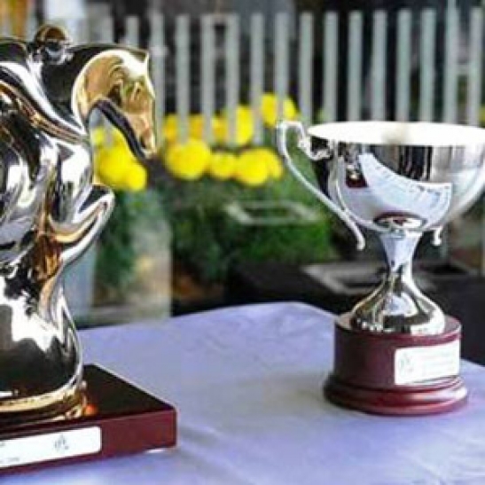 Meliador favoured by forumites in 'Head To Head' brings back a memory or two about one of our great staying races.