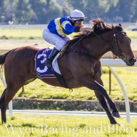 Ascot 11th - Winners & Losers 