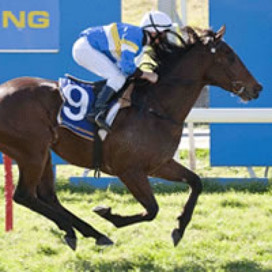 Our winter track, Miss Halloween and the new superstar on the block