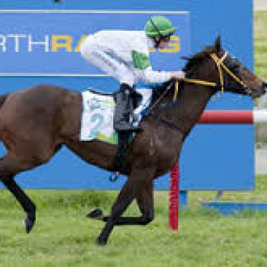 Group 1 win caps off great year for 'new' Rangeview