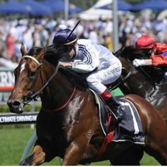 Gerald Ryan-trained Snitzel entire heading West in hunt of black type.