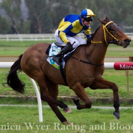 The punters were sharp for the second week in a row.