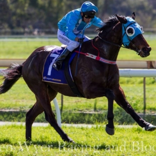 A decent day at the track, but the Goodwood was a lack lustre affair.