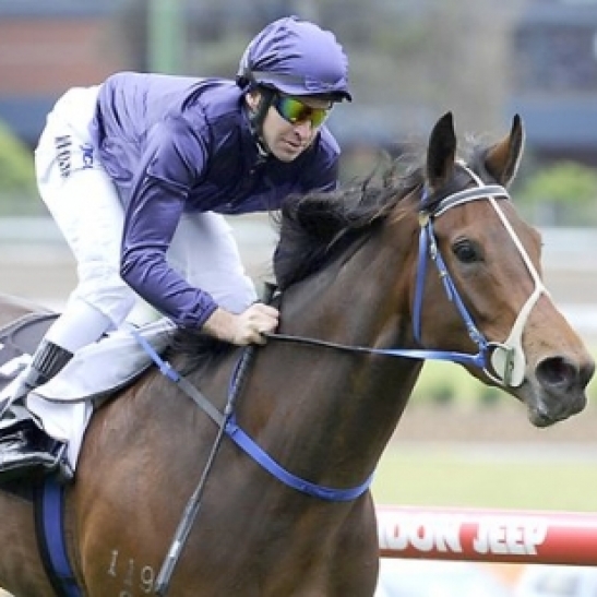 Favourite succumbs to injury on the eve of the big race