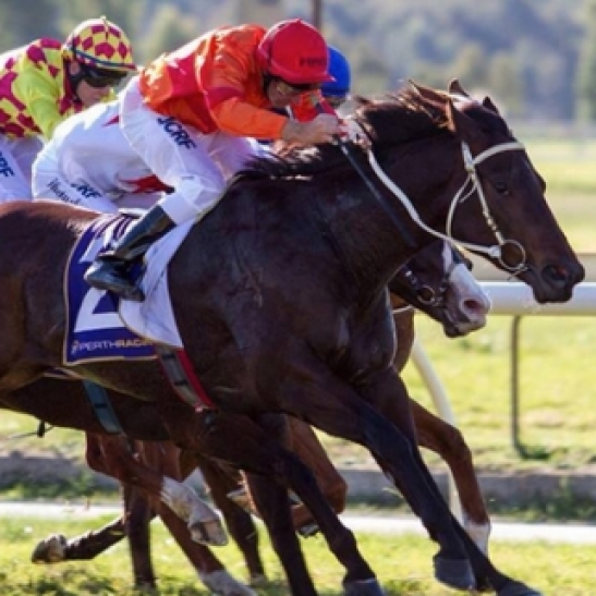 Punting Patto, Belmont July 2nd 