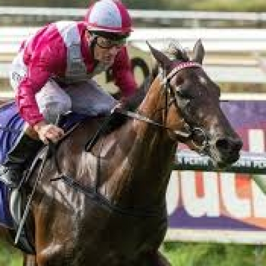 Delicacy on top of Railway Stakes betting