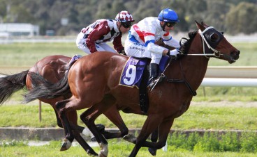 Gumbys Gossip Belmont 27th June